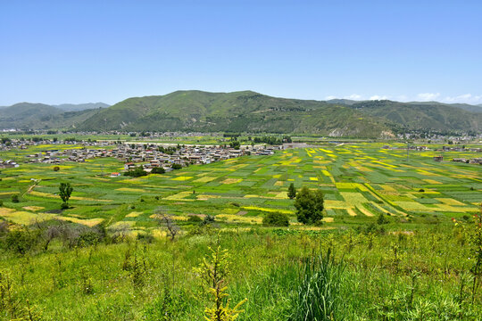 乡村夏日风光