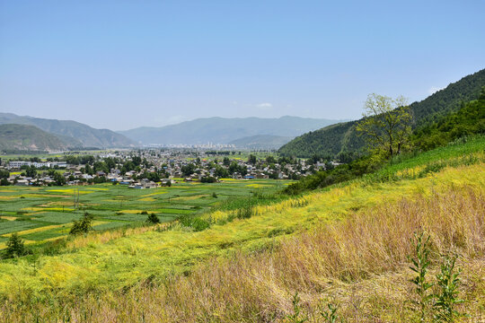 乡村夏日风光