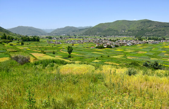 乡村夏日风光