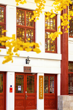 银杏树下的北京大学元培学院