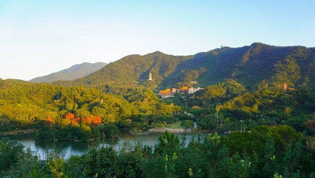 深圳仙湖植物园