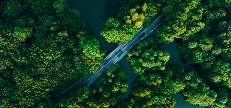 杭州西湖苏堤望山桥