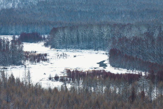 冬季森林河流