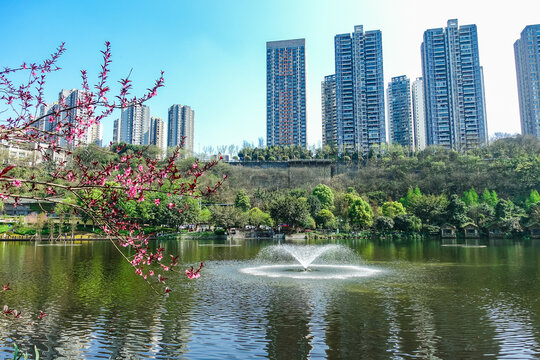 重庆彩云湖湿地公园