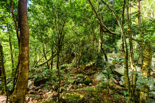 七仙岭温泉国家森林公园