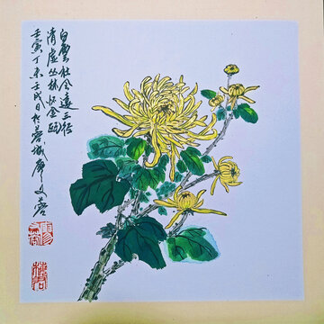 国画菊花黄金菊