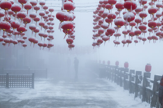 雪中的红灯笼