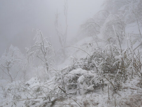 大雾中的雪景