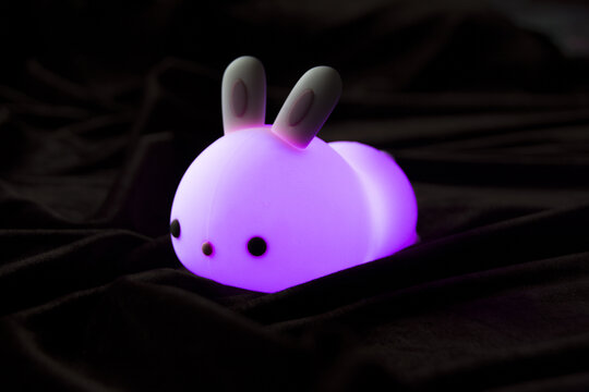 紫色小兔灯