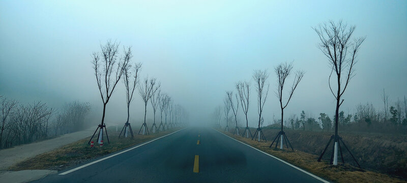 晨雾中的乡村路