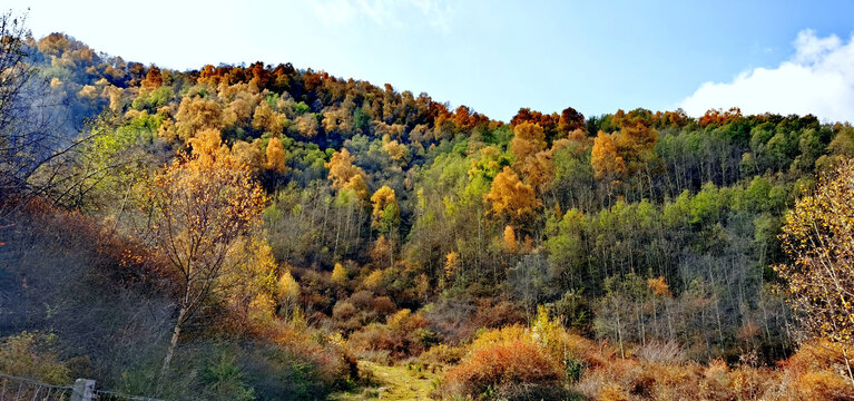 大山秋色