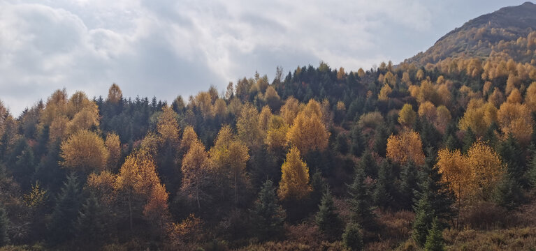 大山秋色