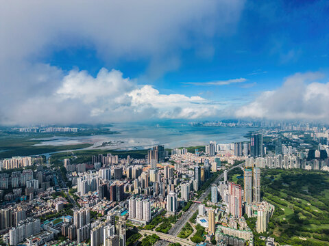 深圳南山区深圳湾大景