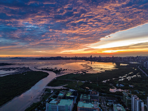 深圳南山区深圳湾大景