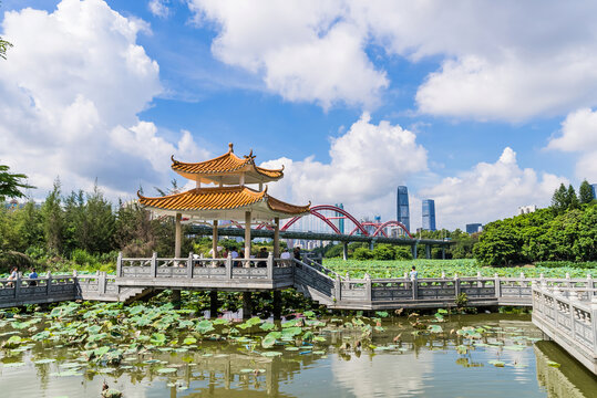 深圳罗湖区洪湖公园