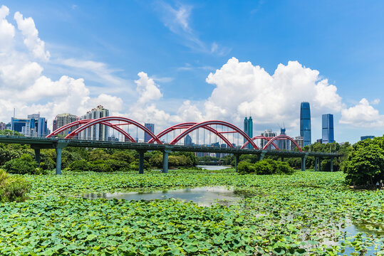 深圳罗湖区芙蓉桥