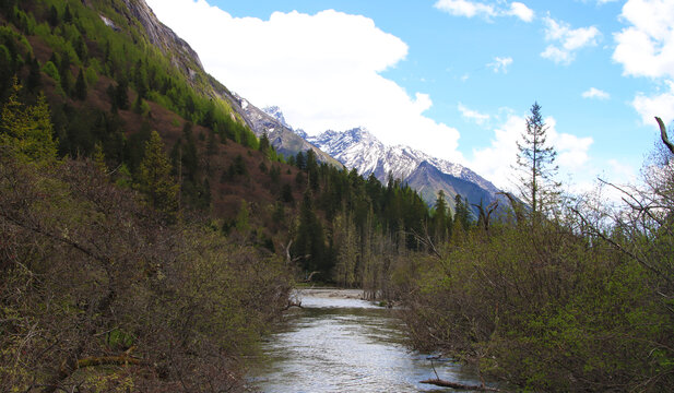 川西高原雪山下的河流