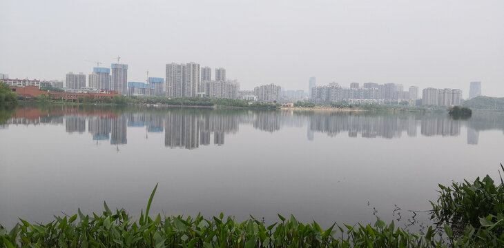 植物园湖景