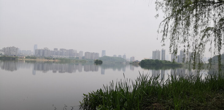 植物园湖景