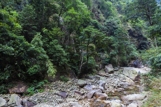 高山峡谷森林溪流