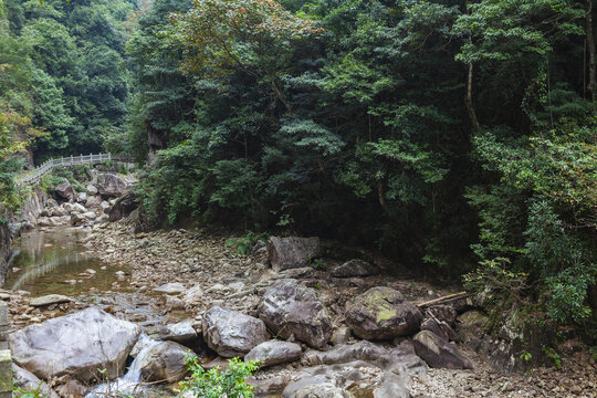 高山峡谷森林溪流