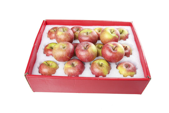 礼盒里的国光苹果