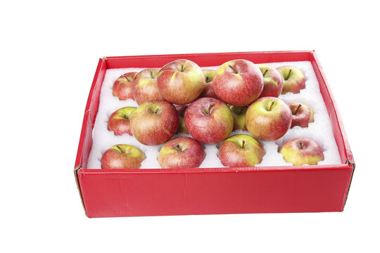 礼盒里的国光苹果