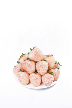 白底上的淡雪草莓