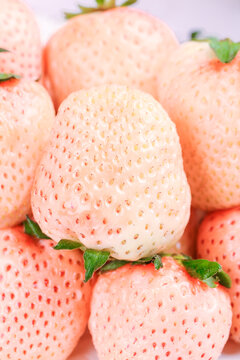 浅底上的淡雪草莓
