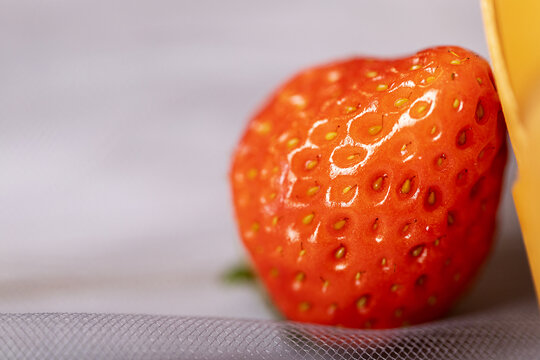 夏季水果草莓牛奶草莓