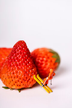 新鲜草莓白色背景图