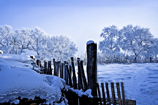 冬天雪景