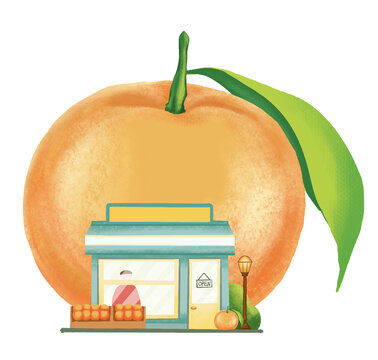 橘子插画橘子商店