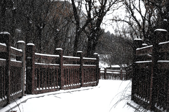 雪景