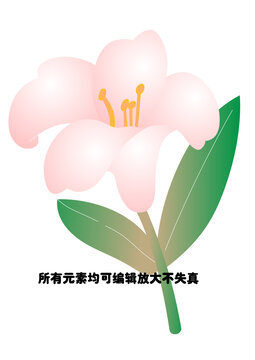 鲜花