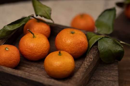 橘子沙糖桔暗调背景图片