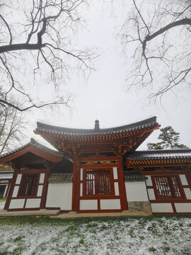 兴庆宫雪景