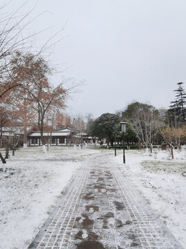 兴庆宫雪景