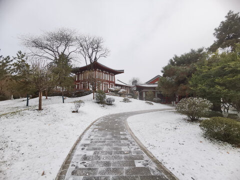 兴庆宫雪景