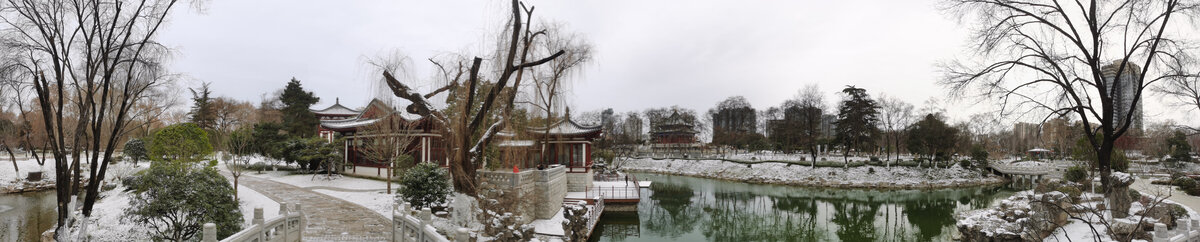 兴庆宫雪景