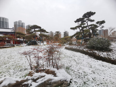 兴庆宫公园雪景