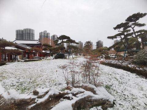 兴庆宫公园雪景