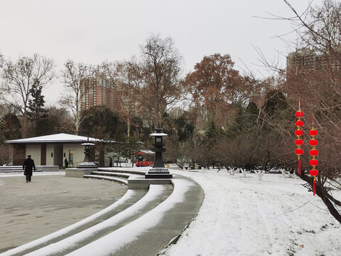 兴庆宫冬日雪景