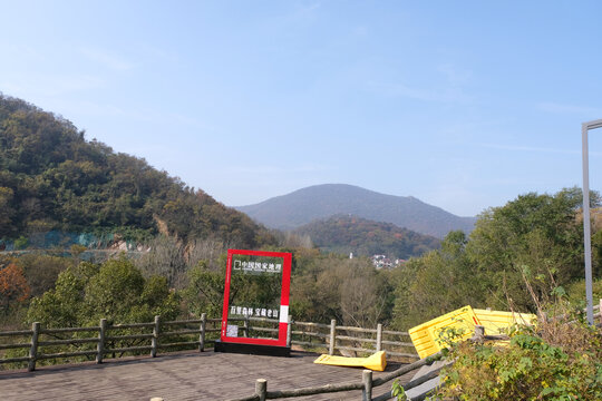 远山森林风景