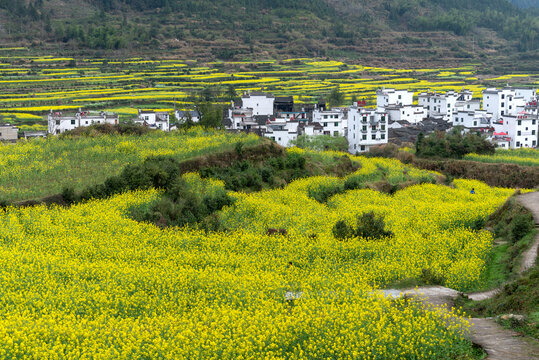 婺源