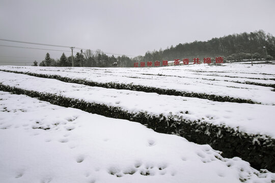 山乡雪景