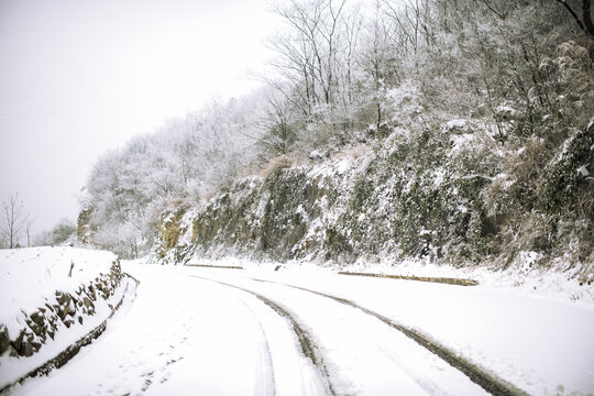 茶园雪景