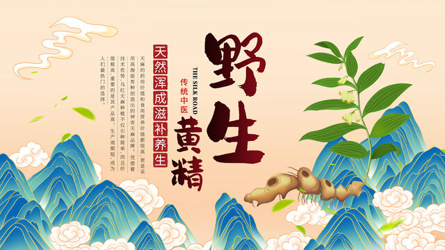 黄精海报