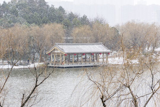 曲江池雪景