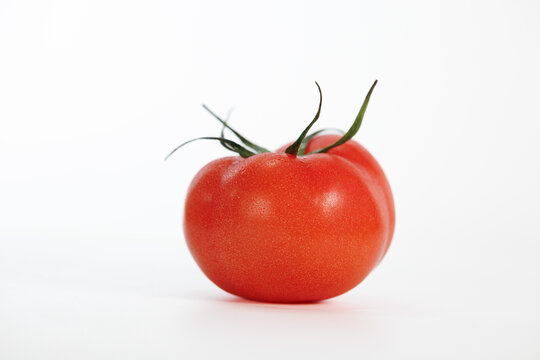 西红柿白底图